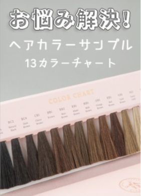 ファッションウィッグ1位ブランド｜ウィッグならPINK-AGE（ピンクエイジ）-11-18-2025_05_01_PM (1)