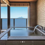 龍宮城スパ-ホテル三日月-富士見亭-宿泊予約-一休-com-01-08-2026_09_49_PM (1)